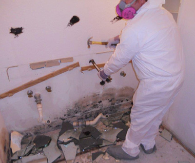 Naples Mold Remediation Specialist